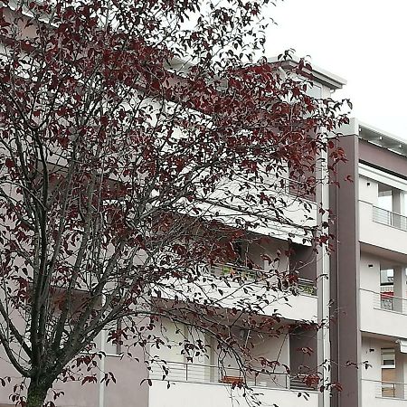 Aleanto Home Verona Exteriér fotografie